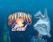 Dolphin’s Pearl (Дельфин)