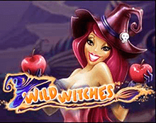 Wild Witches (Дикие ведьмы)