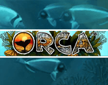 Orca (Косатка)