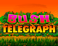 Bush Telegraph (Телеграф)