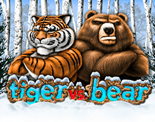 Tiger vs Bear (Тигр Против Медведя)