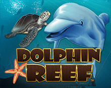 Dolphin Reef (Риф Дельфина)